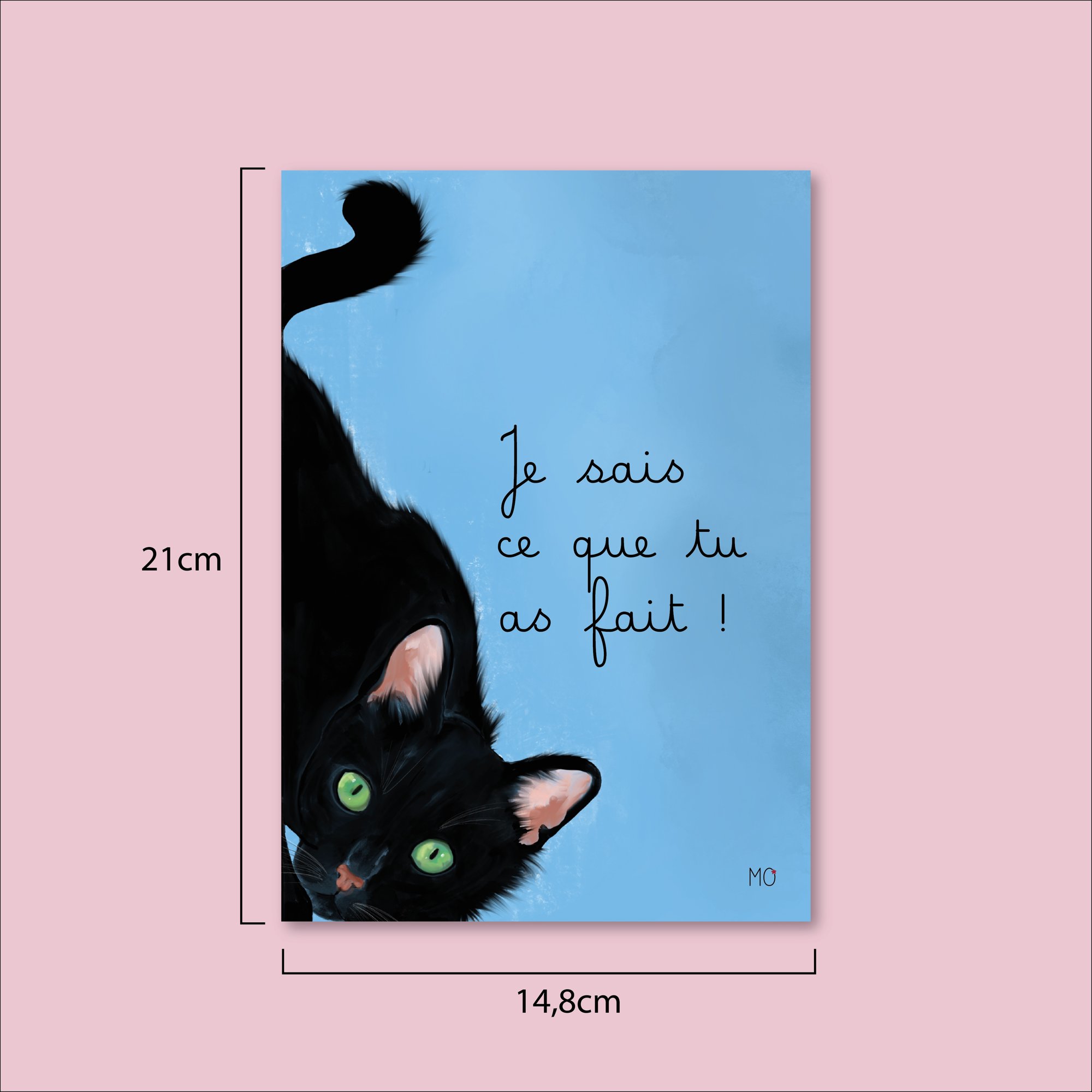 Affiche chat amusante "Je sais ce que tu as fait !"