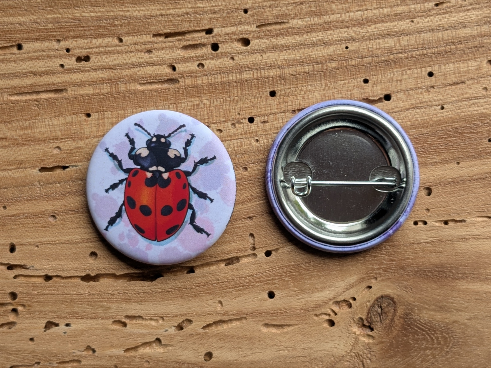 Badge coccinelle - Petit insecte du jardin