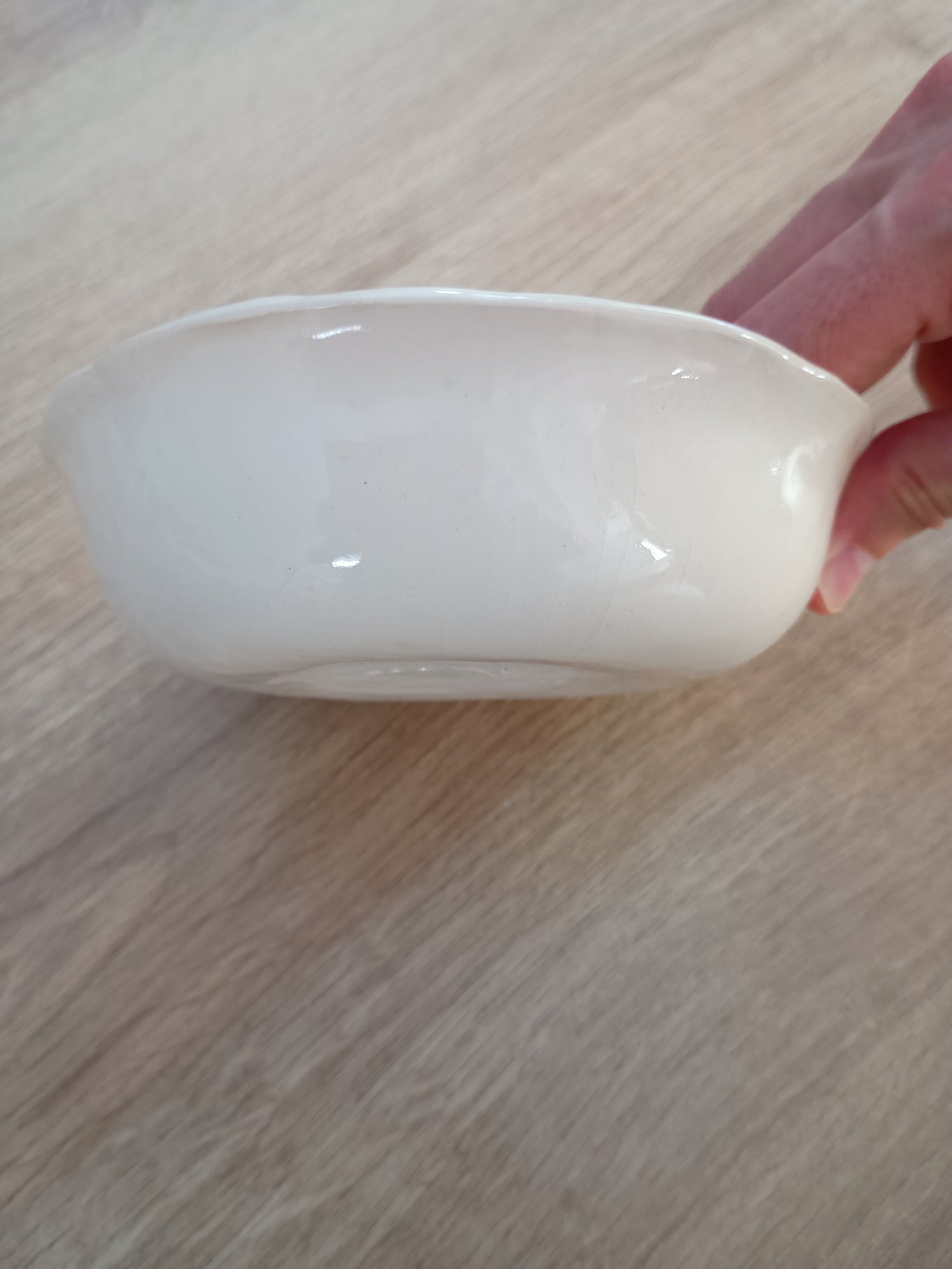 gamelle anti-glouton pour chat