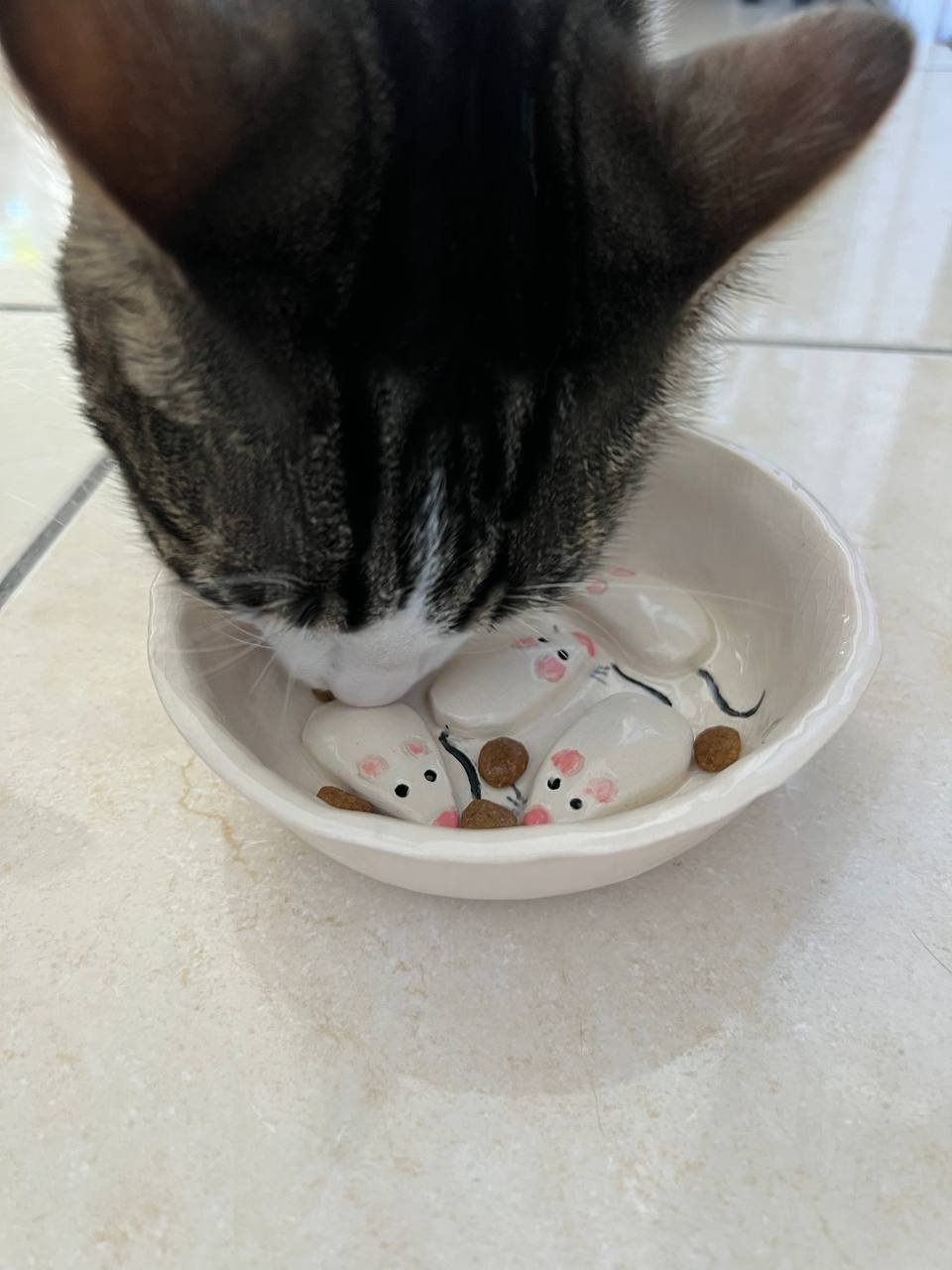 gamelle anti-glouton pour chat