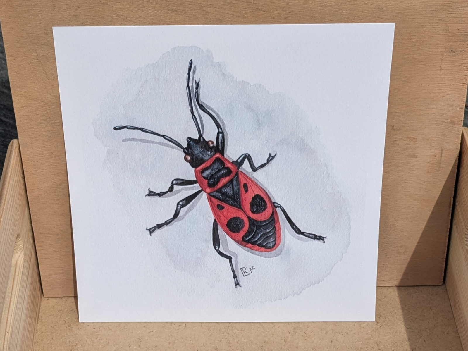 Affiche insecte à l'aquarelle - Illustration Gendarme