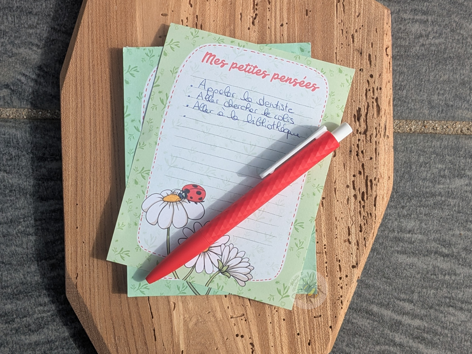 Bloc-notes coccinelle - Papeterie insecte imprimée localement