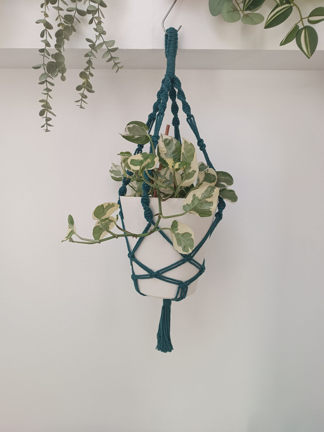 Porte-plante "modèle 1 - Bleu canard"